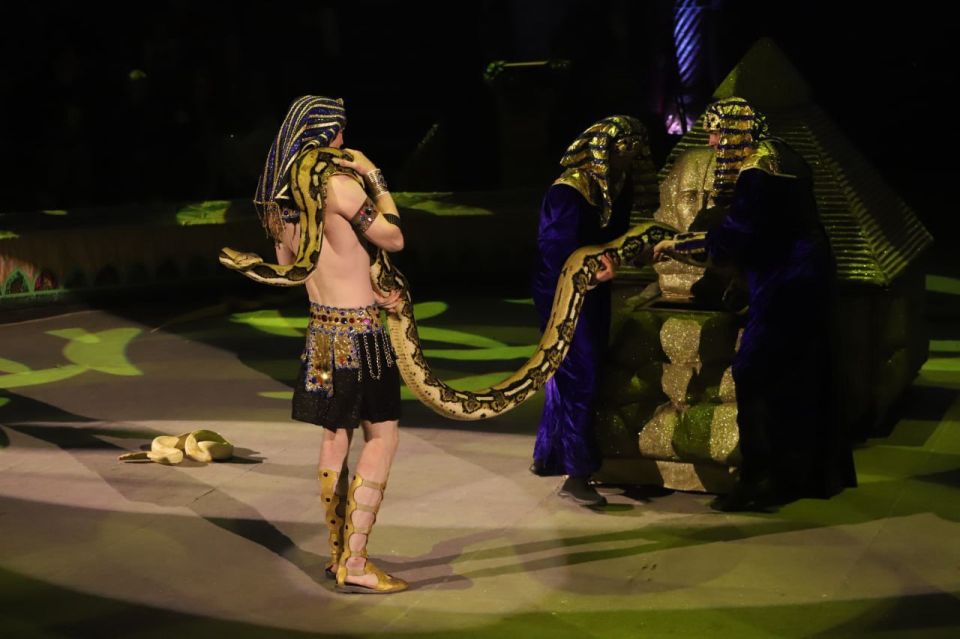 �������� � ��� � ��� ����������� ������������ �������� �����������