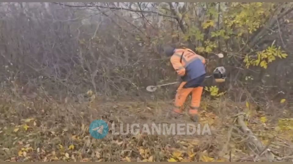          ( ),    