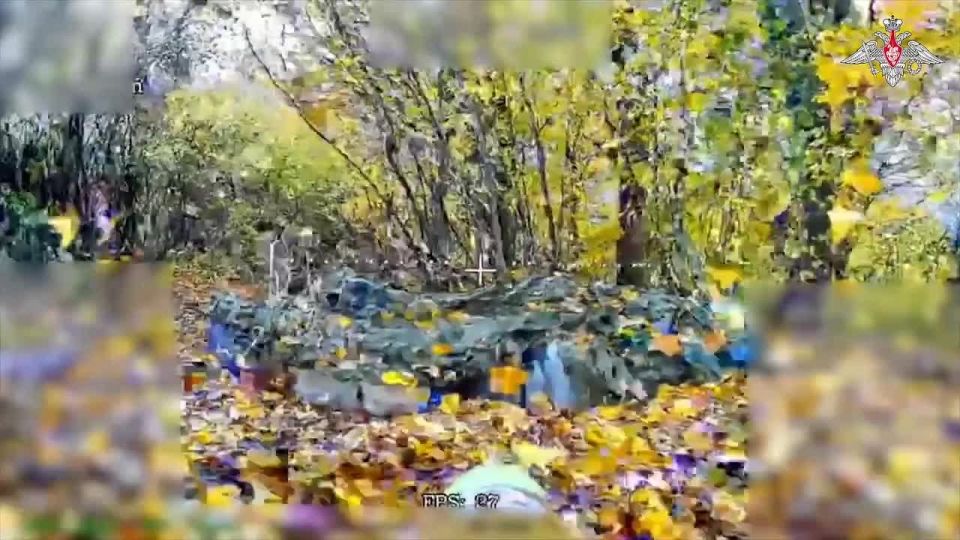  .  FPV-    ,  ,  ,   ,       ...
