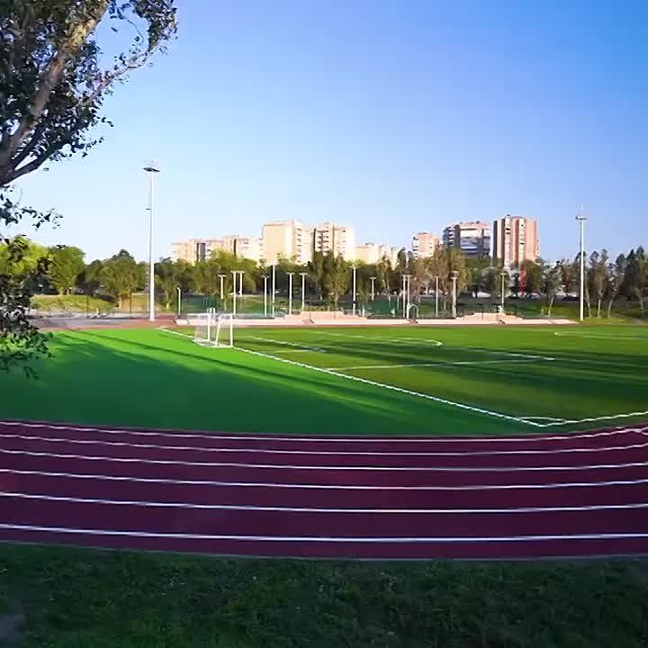  :            . . 