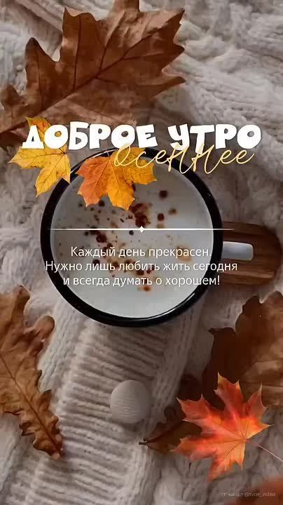 ,        , 