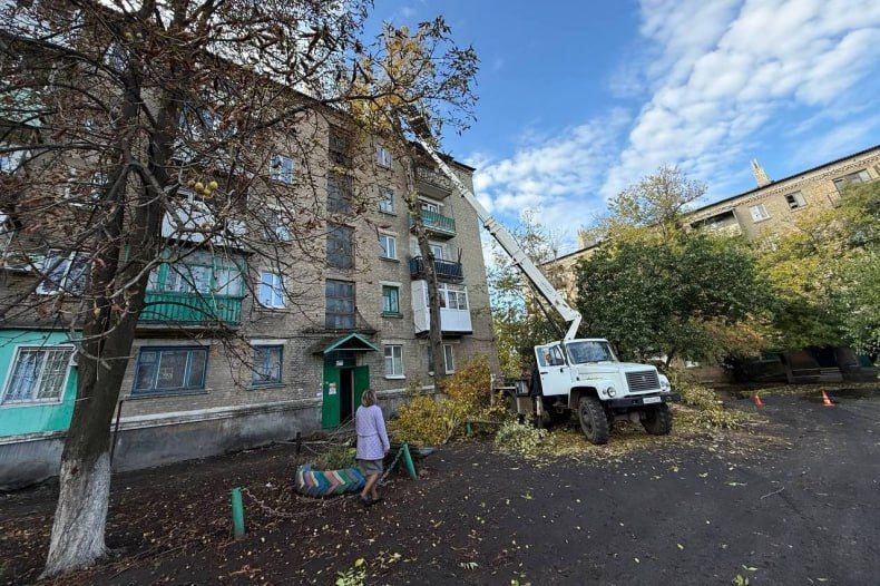 В Червонопартизанске приступили к работам по спилу аварийных деревьев