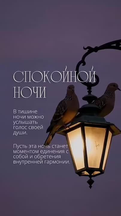 Добрых и мирных снов Новоайдарский округ!