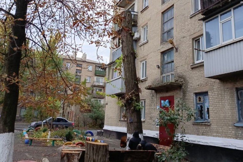 В Червонопартизанске приступили к работам по спилу аварийных деревьев В Червонопартизанске приступили к работам по спилу аварийных деревьев