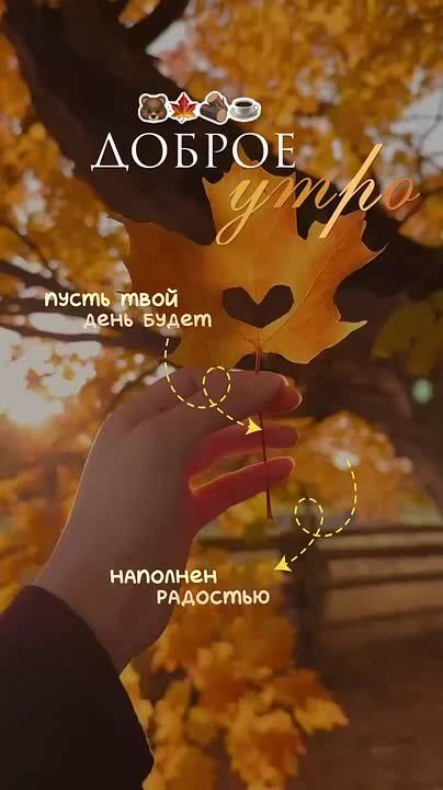   ,   !         !
