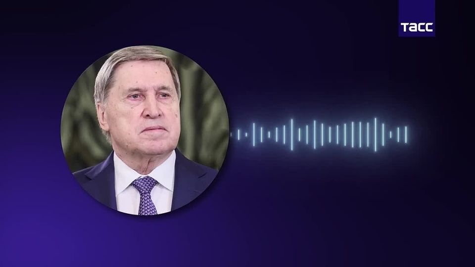 Президент России Владимир Путин заявил американскому лидеру Дональду Трампу, что передача Киеву ракет «Томагавк» не изменит ситуацию на поле боя, а только нанесет ущерб отношениям РФ и США