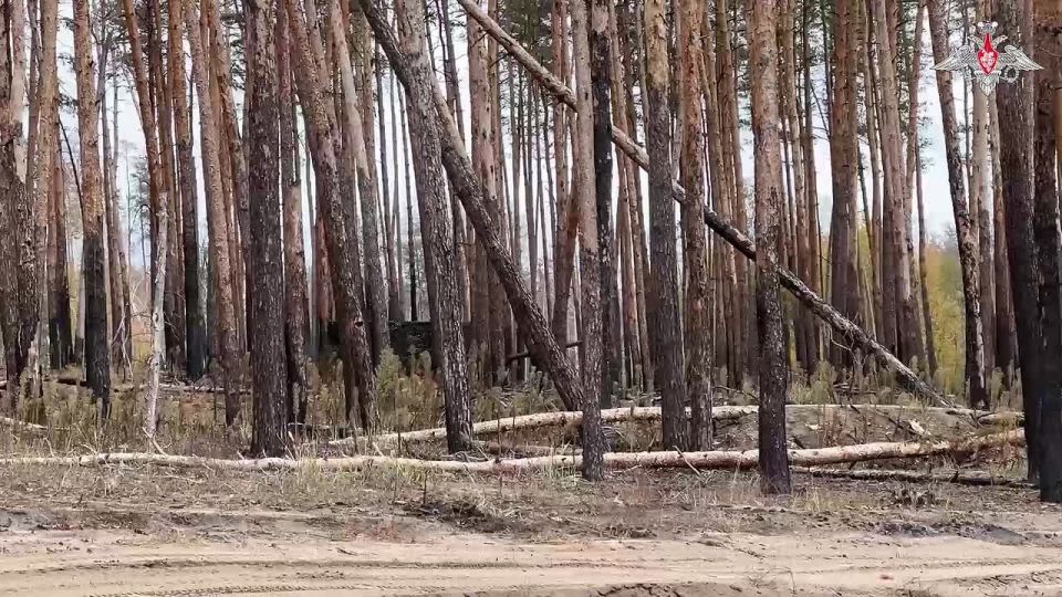 Танкисты 25-й общевойсковой армии группировки войск «Запад» уничтожили замаскированные опорные пункты, блиндажи, бронетехнику и живую силу подразделений ВСУ на Краснолиманском направлении