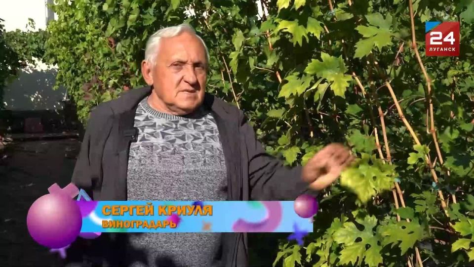 Луганщина – богатый и плодородный край для многих культур