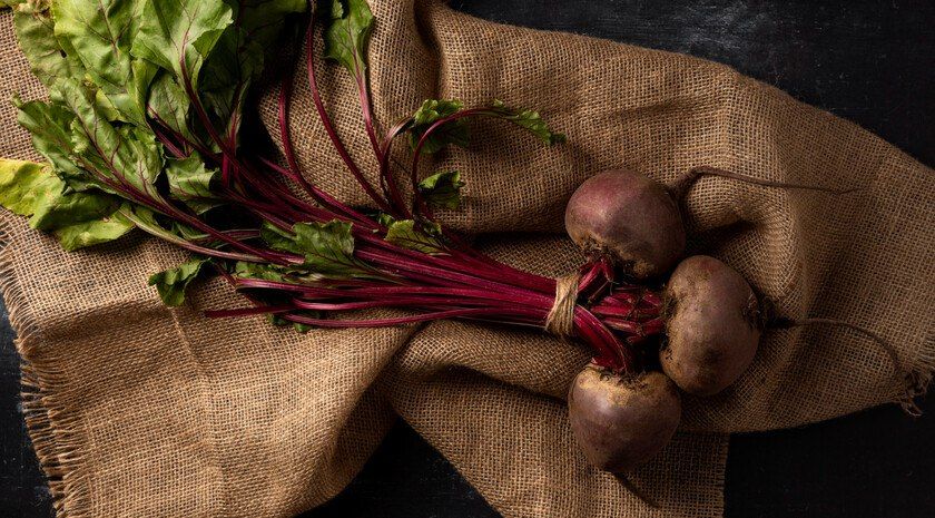 Без спешки. Садовод рассказала, когда убирать урожай моркови и свеклы