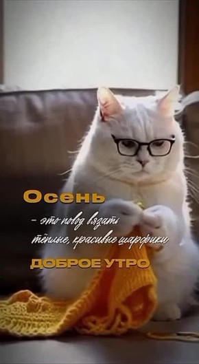    ,  ,   