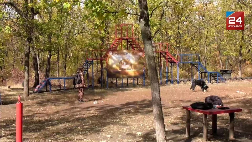 Дрессировка собак – это не только тренировки, но еще игра и социализация
