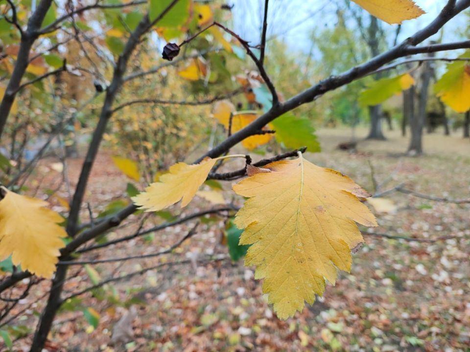 Погода в Луганске: потепление до +16°С днем
