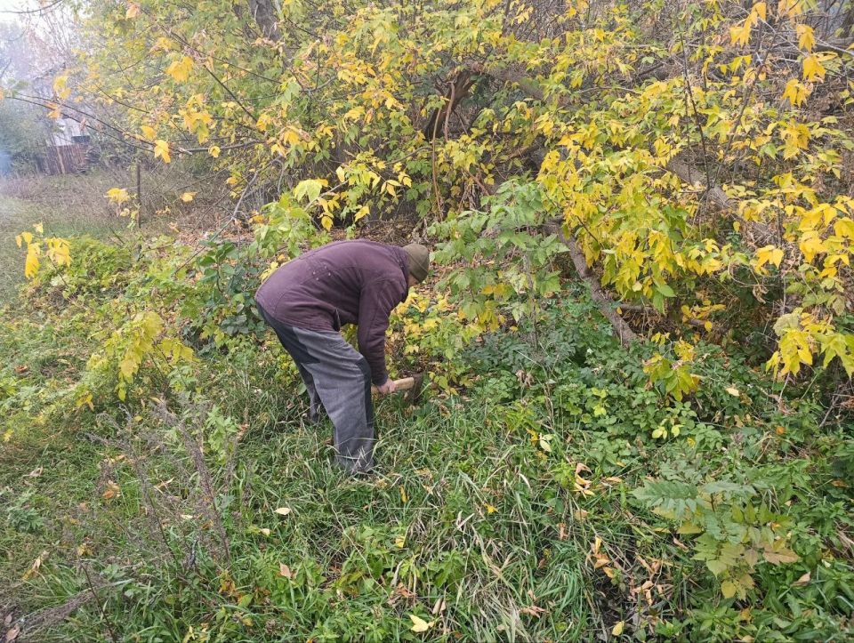В пгт Ясеновский продолжаются работы по благоустройству территории В пгт Ясеновский продолжаются работы по благоустройству территории
