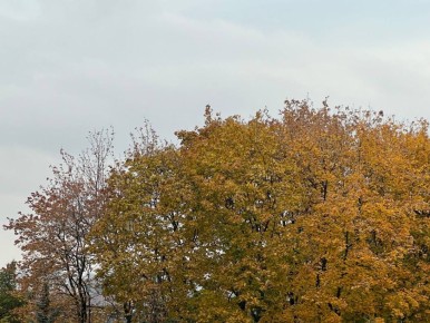 Сегодня в ЛНР воздух прогреется до 16°C