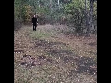     ,  ,   