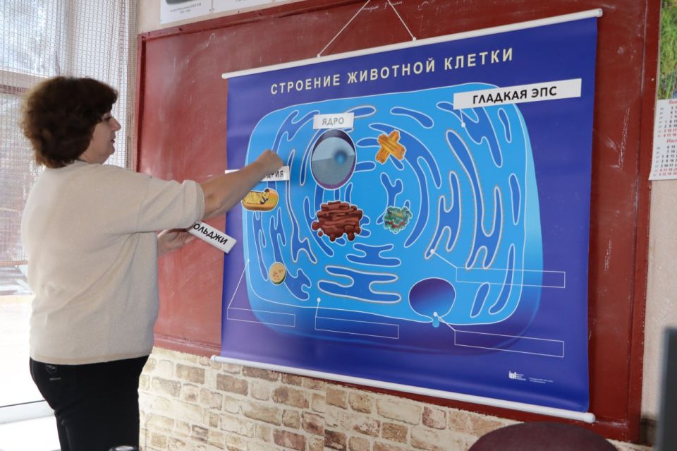 Школы Стаханова становятся современнее! Школы Стаханова становятся современнее!