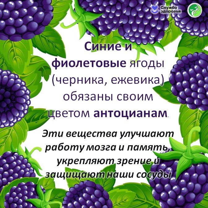 20.10-26.10.2025 Неделя популяризации потребления овощей и фруктов 20.10-26.10.2025 Неделя популяризации потребления овощей и фруктов