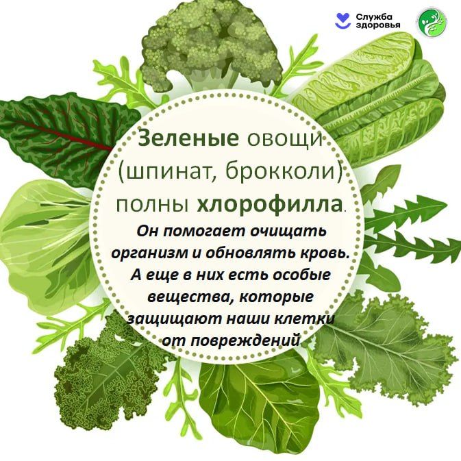 20.10-26.10.2025 Неделя популяризации потребления овощей и фруктов 20.10-26.10.2025 Неделя популяризации потребления овощей и фруктов