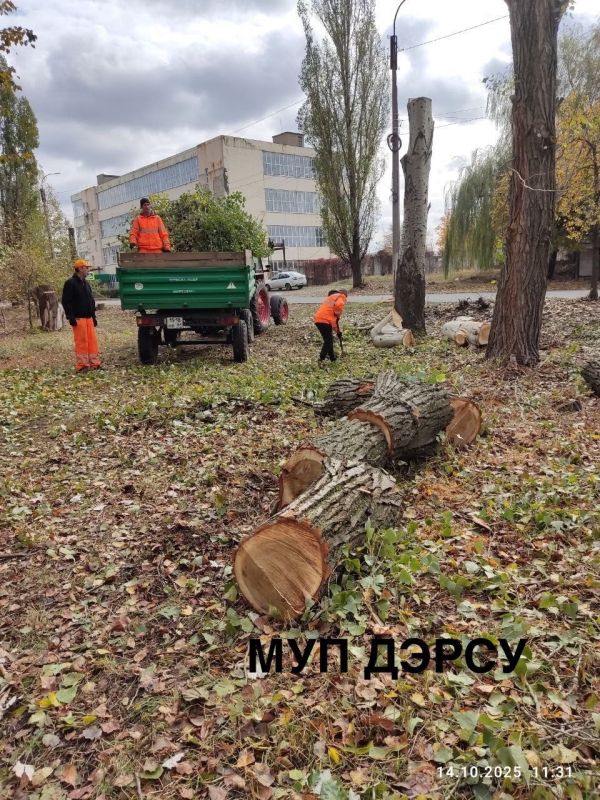 За период с 13 по 17 октября работниками МУП "ДЭРСУ" были выполнены следующие работы: За период с 13 по 17 октября работниками МУП "ДЭРСУ" были выполнены следующие работы: