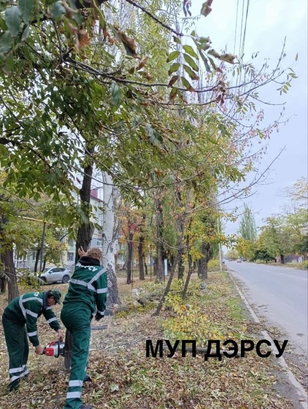 За период с 13 по 17 октября работниками МУП "ДЭРСУ" были выполнены следующие работы: За период с 13 по 17 октября работниками МУП "ДЭРСУ" были выполнены следующие работы: