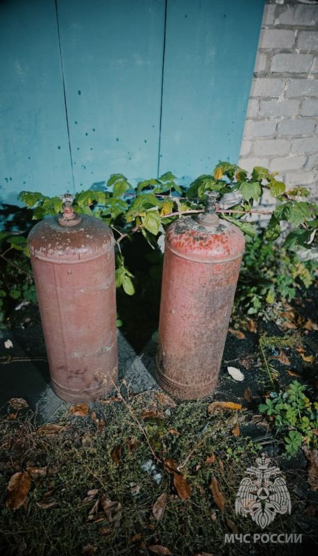 Спасатели МЧС России ликвидировали масштабный пожар на частном подворье в Свердловске Спасатели МЧС России ликвидировали масштабный пожар на частном подворье в Свердловске