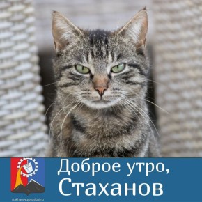  ,  !