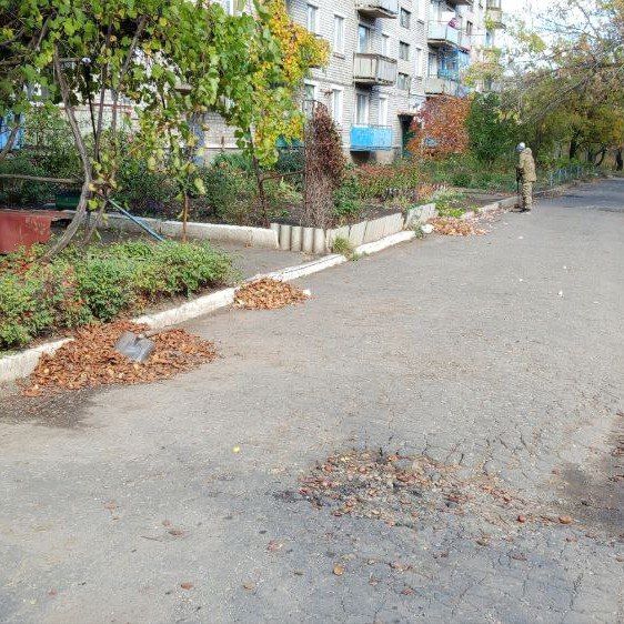 С самого утра они уже на своих участках С самого утра они уже на своих участках