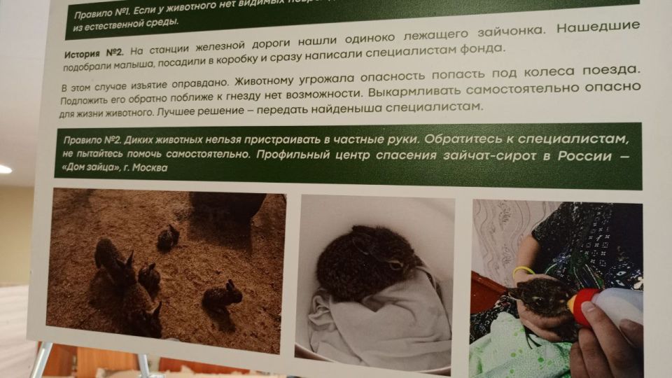 Сегодня в Северодонецком технологическом институте и Колледже СТИ открылась мобильная выставка «Посмотри мне в глаза» — проект, направленный на формирование у молодого поколения гуманного и ответственного отношения к животным Сегодня в Северодонецком технологическом институте и Колледже СТИ открылась мобильная выставка «Посмотри мне в глаза» — проект, направленный на формирование у молодого поколения гуманного и ответственного отношения к животным