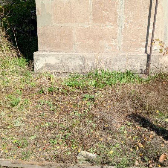 С самого утра они уже на своих участках С самого утра они уже на своих участках