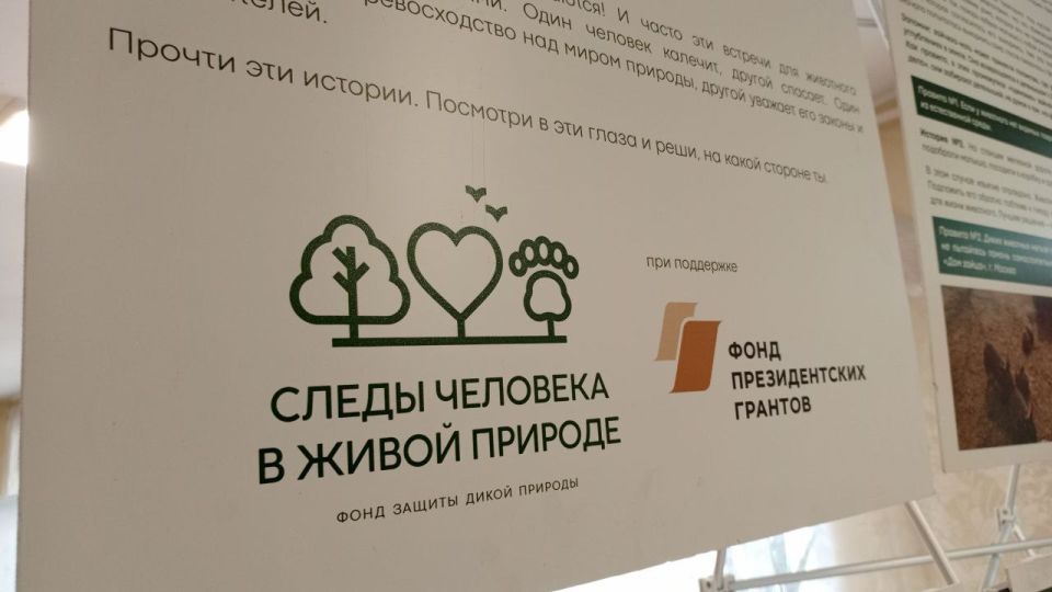 Сегодня в Северодонецком технологическом институте и Колледже СТИ открылась мобильная выставка «Посмотри мне в глаза» — проект, направленный на формирование у молодого поколения гуманного и ответственного отношения к животным Сегодня в Северодонецком технологическом институте и Колледже СТИ открылась мобильная выставка «Посмотри мне в глаза» — проект, направленный на формирование у молодого поколения гуманного и ответственного отношения к животным