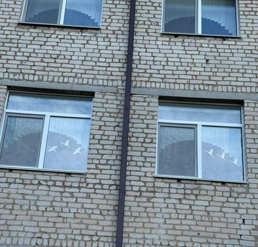 Школьники Нижнего Нагольчика и Калмыкии почтили память павших героев Школьники Нижнего Нагольчика и Калмыкии почтили память павших героев