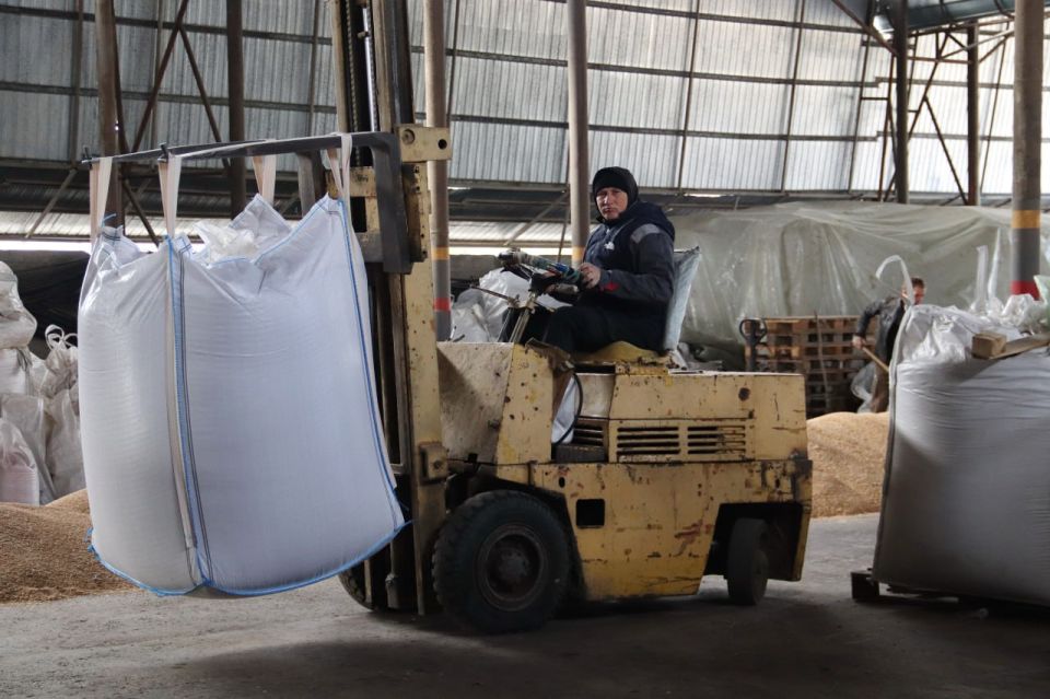 На полях ЛНР высевают будущий урожай На полях ЛНР высевают будущий урожай