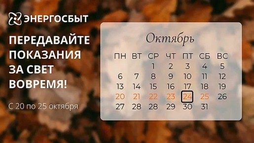 ,         25 