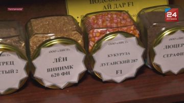 Луганский институт селекции и технологий засевает поля озимой пшеницей сортами собственной селекции