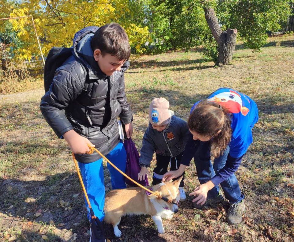 ����� ������������ ���������� �������������� � �����-�������