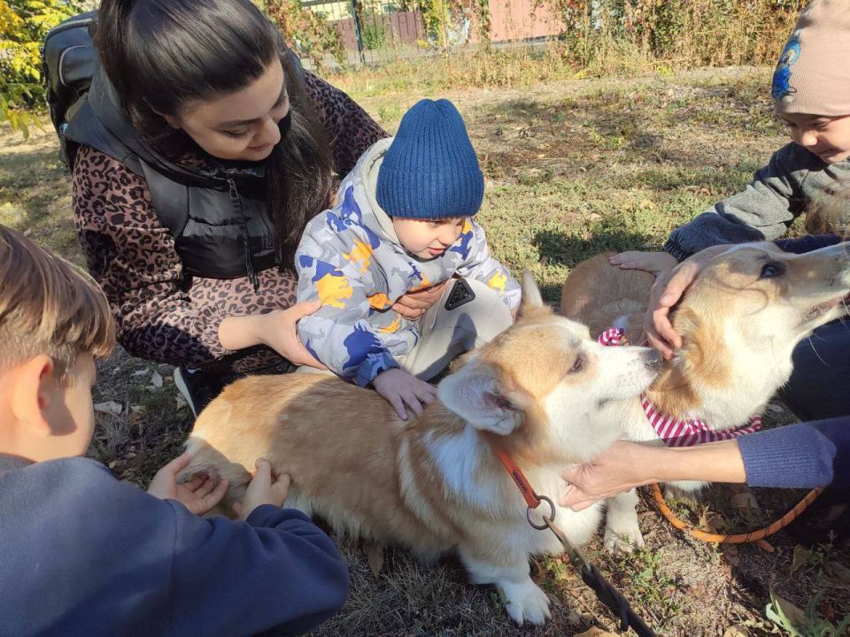 ����� ������������ ���������� �������������� � �����-�������