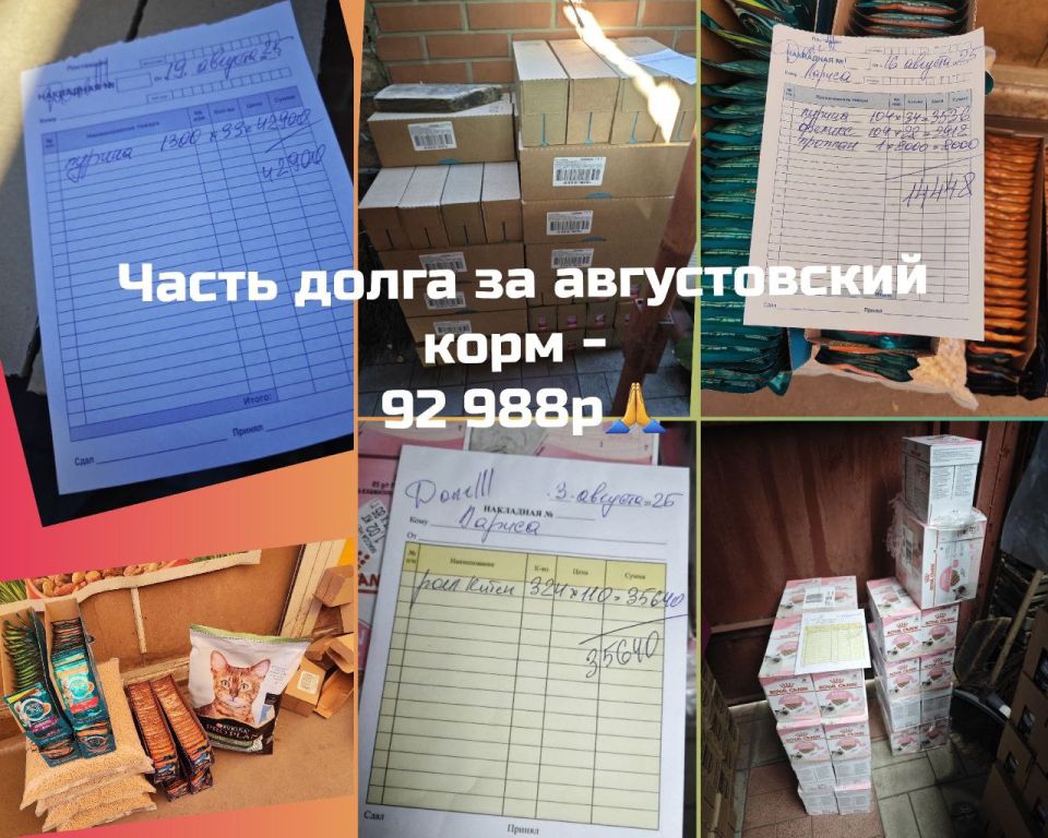 Друзья, "Мурысин дом" г.Луганска, где более 200 хвостиков, находясь в зоне проведения СВО и не имея никакой помощи от государства, просит о помощи любой посильной суммой в уменьшении долга за часть августовского корма!!... Друзья, "Мурысин дом" г.Луганска, где более 200 хвостиков, находясь в зоне проведения СВО и не имея никакой помощи от государства, просит о помощи любой посильной суммой в уменьшении долга за часть августовского корма!!...