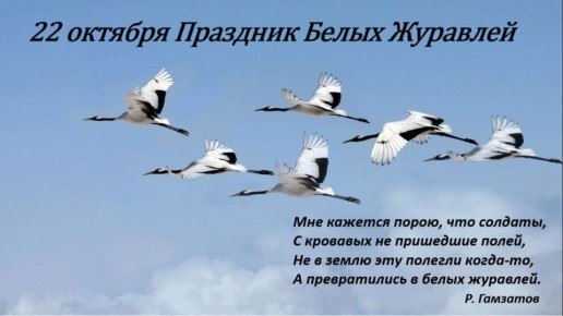 .,     酻
