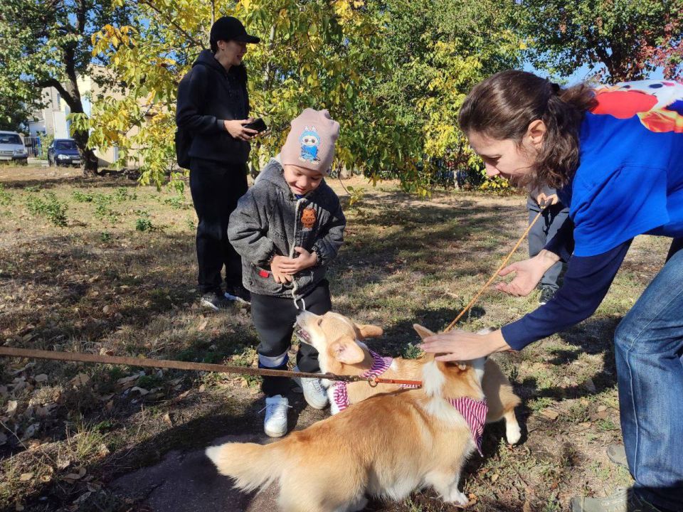 ����� ������������ ���������� �������������� � �����-�������