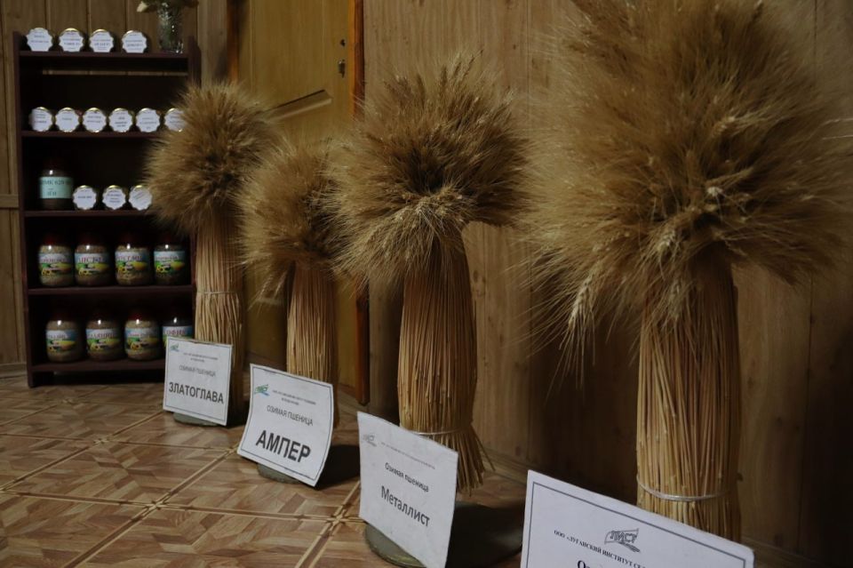 Глава ЛНР: в ходе осенней посевной кампании уже засеяно 70% площадей Глава ЛНР: в ходе осенней посевной кампании уже засеяно 70% площадей