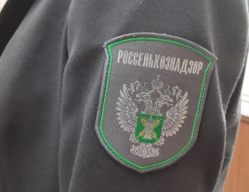 Внимание, аграрии ЛНР! Пресечена продажа незарегистрированных семян