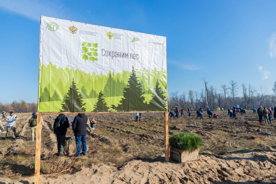 Леонид Пасечник: В республике стартовала Всероссийская акция «Сохраним лес»