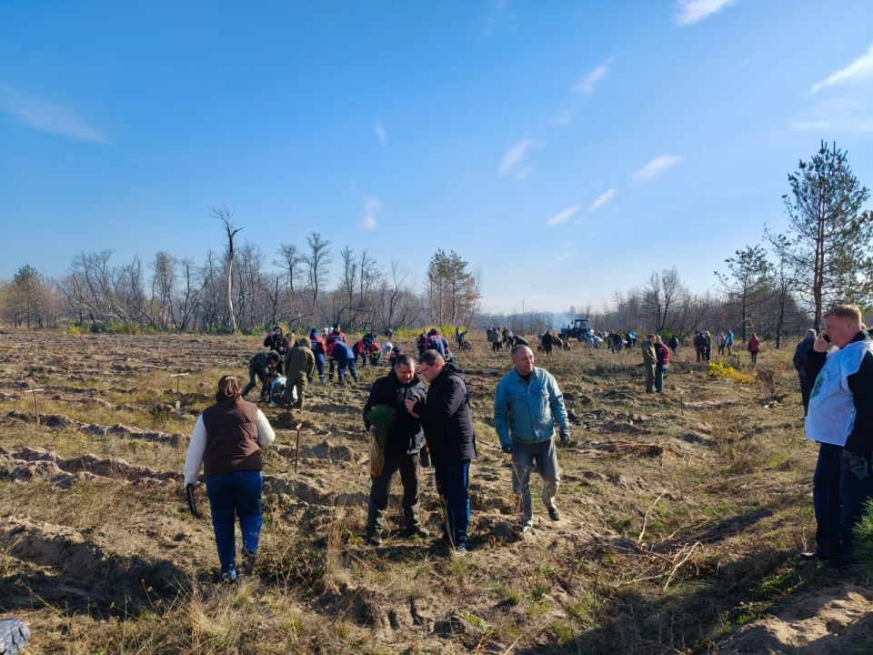 Еще больше фото акции "Сохраним лес" Еще больше фото акции "Сохраним лес"