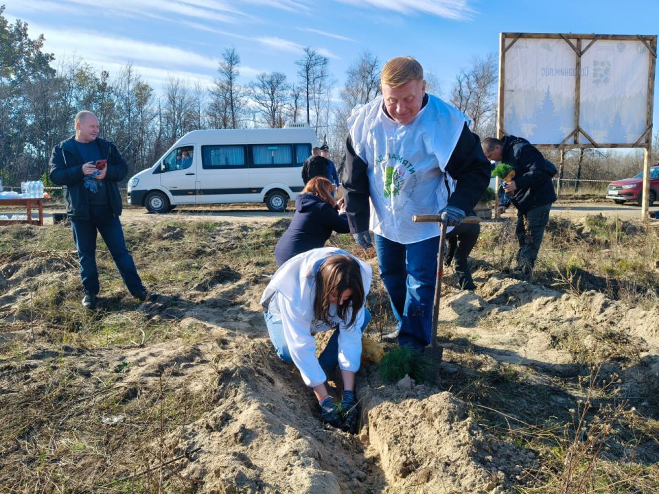 В Республике стартовала Всероссийская акция «Сохраним лес» В Республике стартовала Всероссийская акция «Сохраним лес»