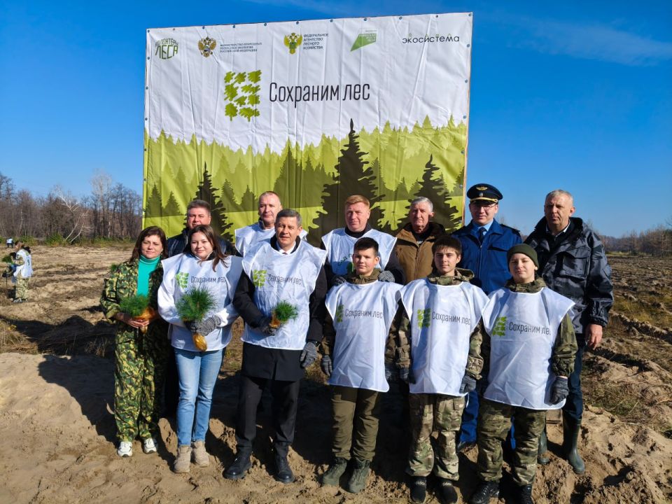 В Республике стартовала Всероссийская акция «Сохраним лес»