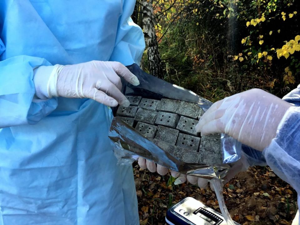 В ЛНР вакцинируют диких животных от бешенства