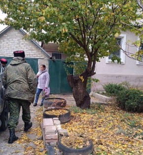 Экологи проводят системную работу по контролю соблюдения Правил благоустройства