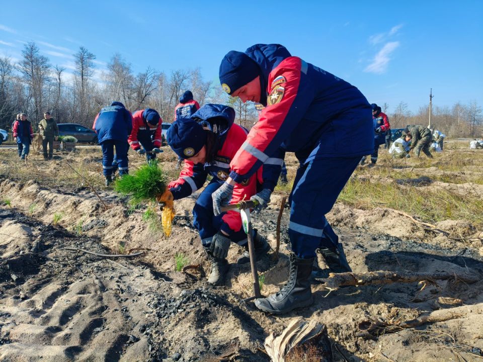 В Республике стартовала Всероссийская акция «Сохраним лес» В Республике стартовала Всероссийская акция «Сохраним лес»
