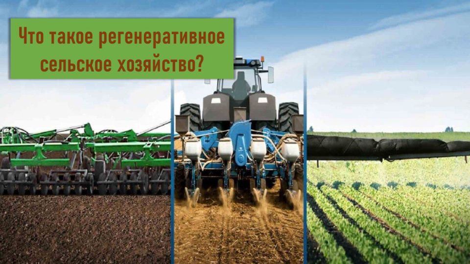 Регенеративное земледелие: стратегия восстановления плодородия почв Луганщины