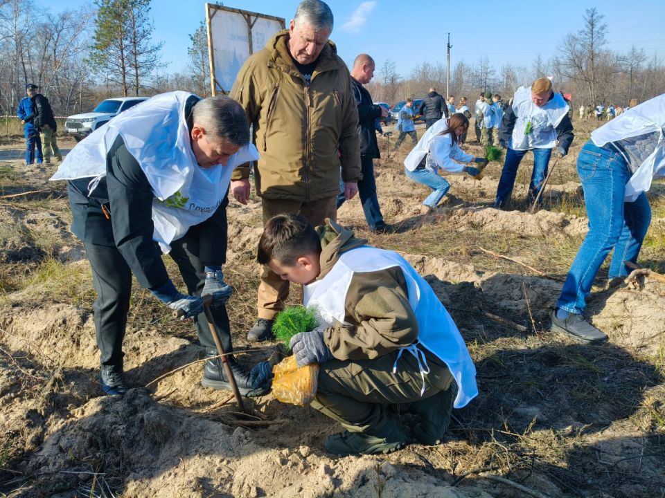 В Республике стартовала Всероссийская акция «Сохраним лес» В Республике стартовала Всероссийская акция «Сохраним лес»